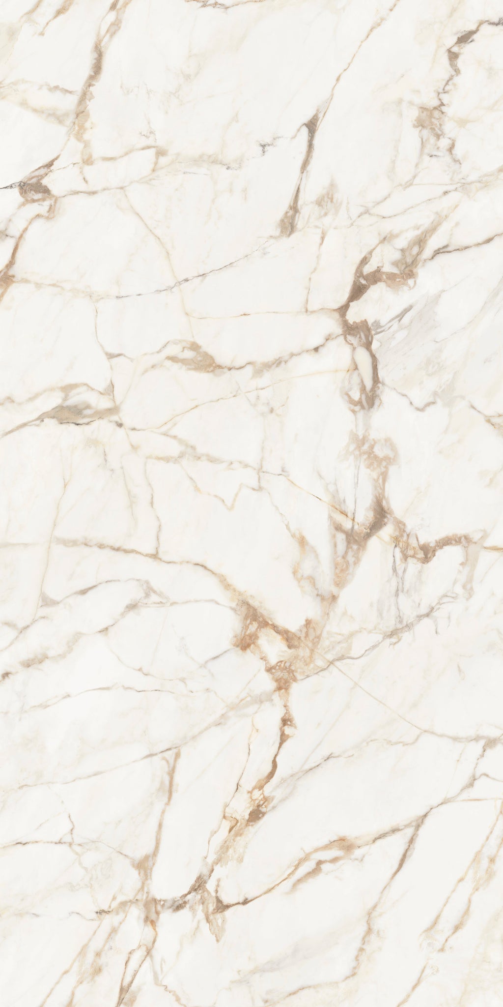 Xtone Calacatta Gold