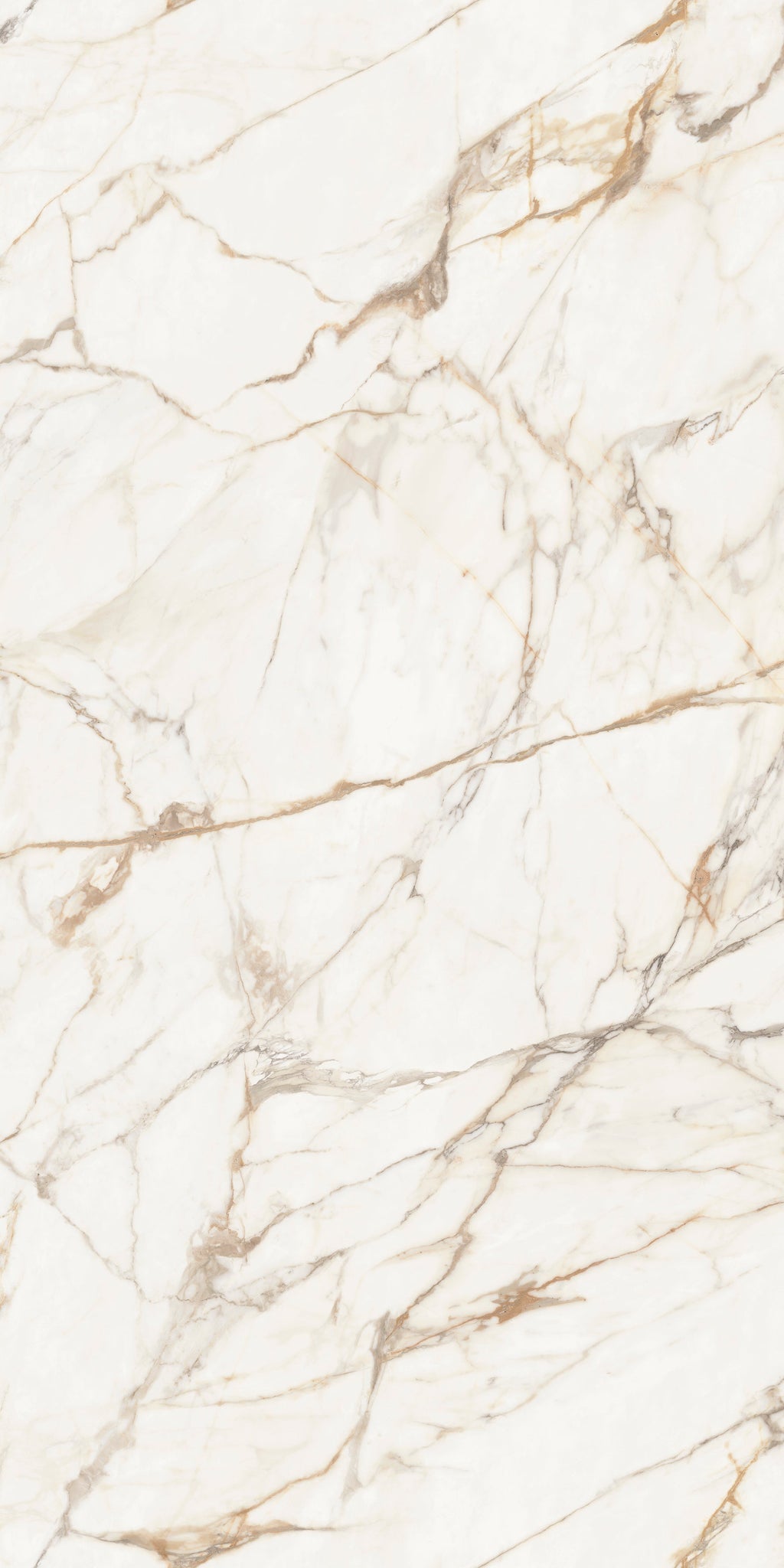 Xtone Calacatta Gold