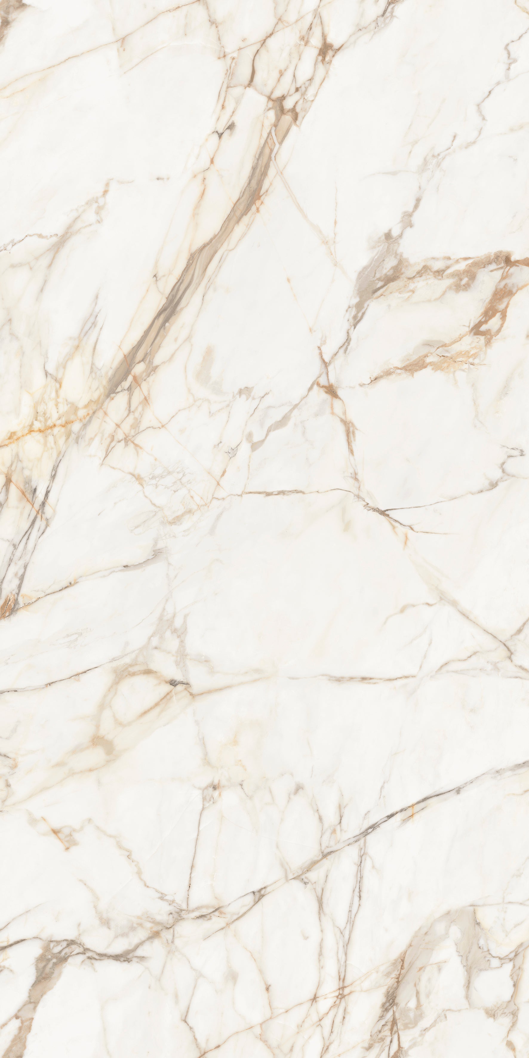 Xtone Calacatta Gold