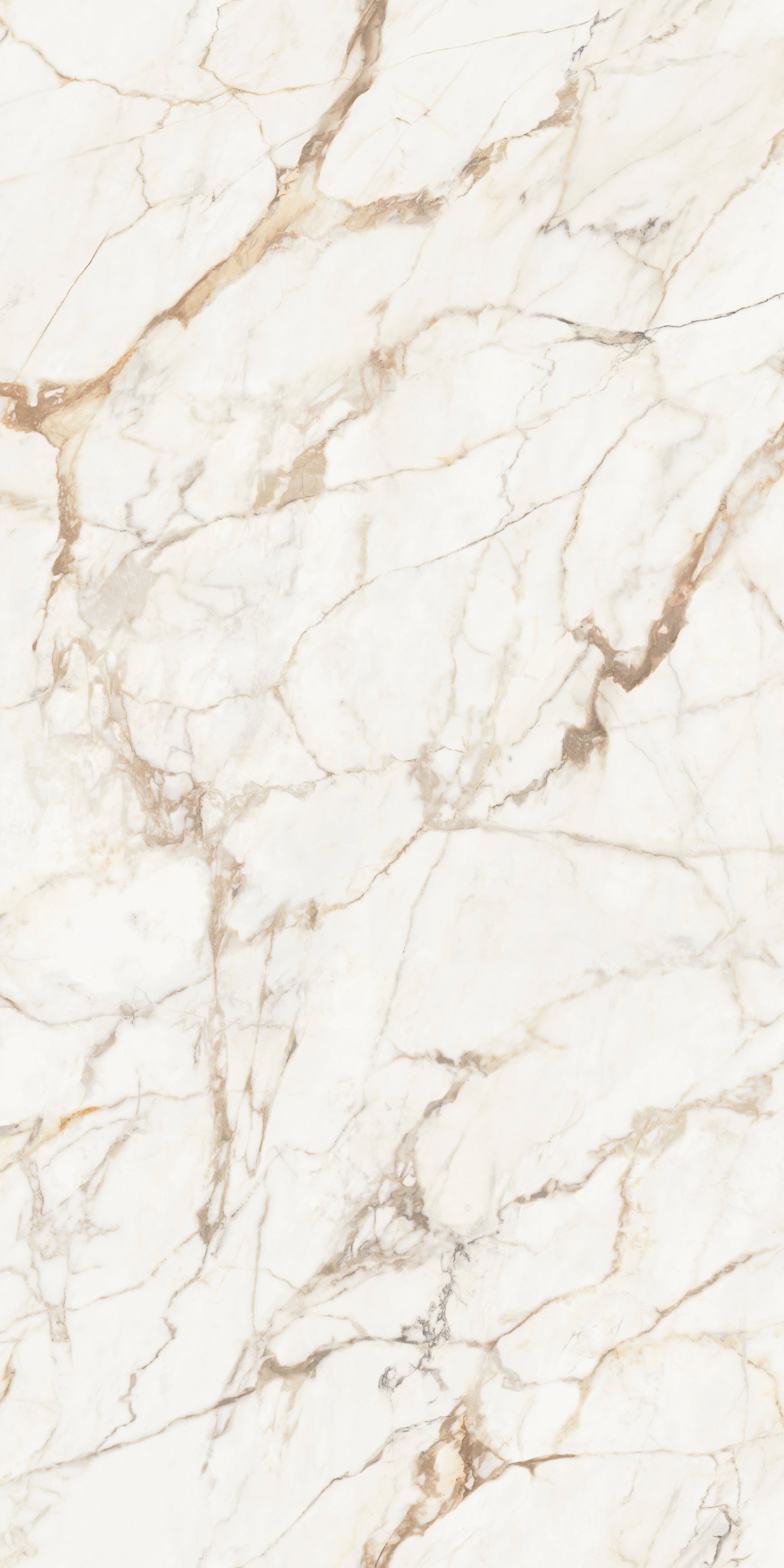Xtone Calacatta Gold