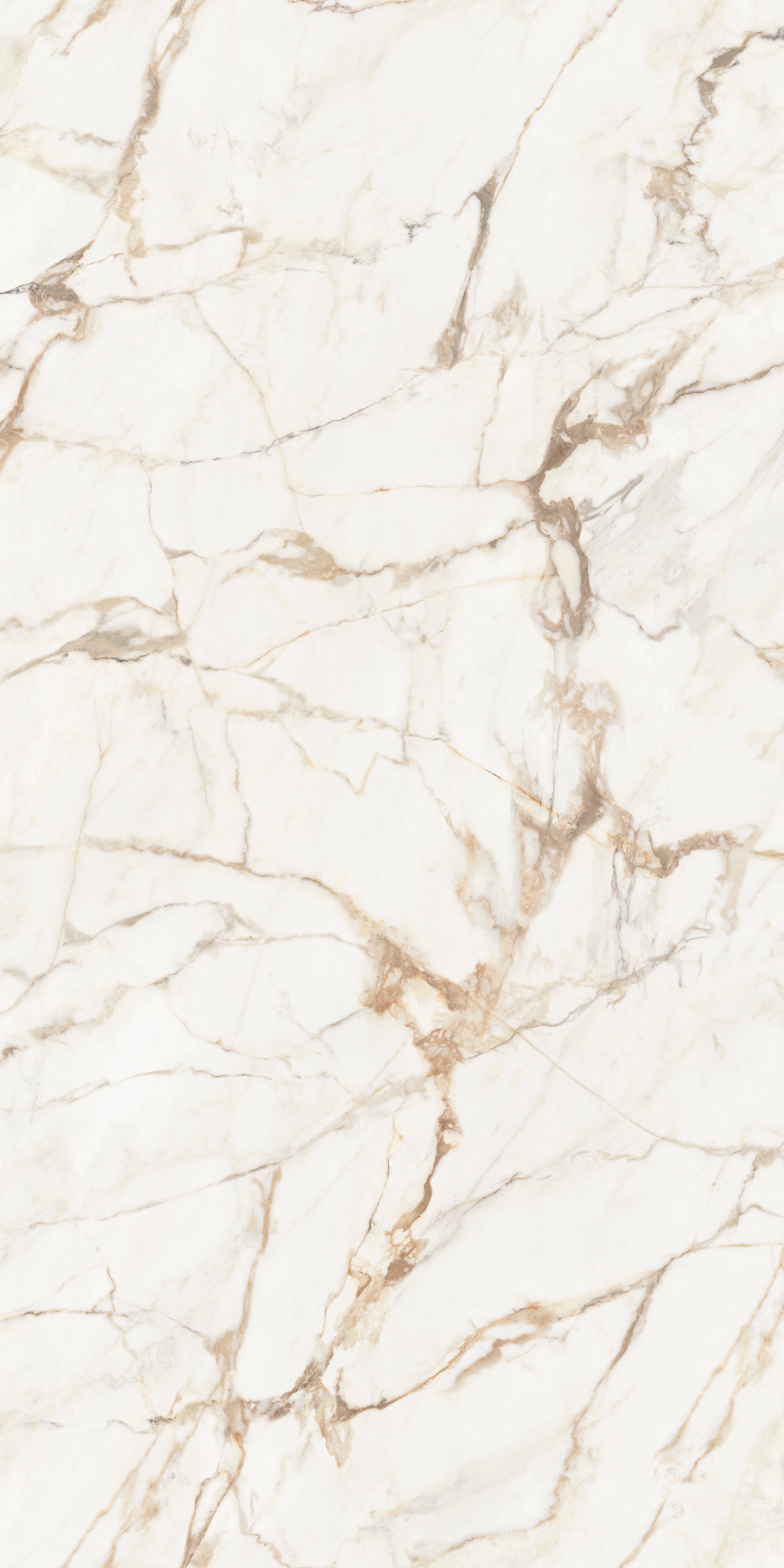 Xtone Calacatta Gold