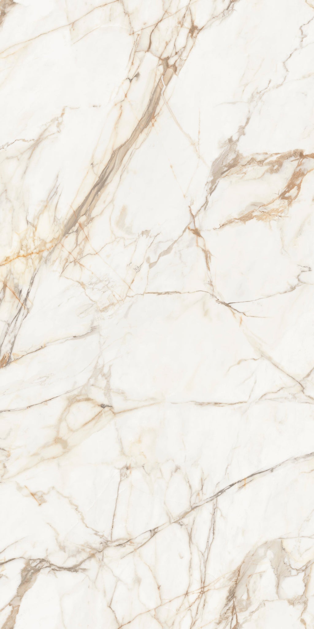 Xtone Calacatta Gold