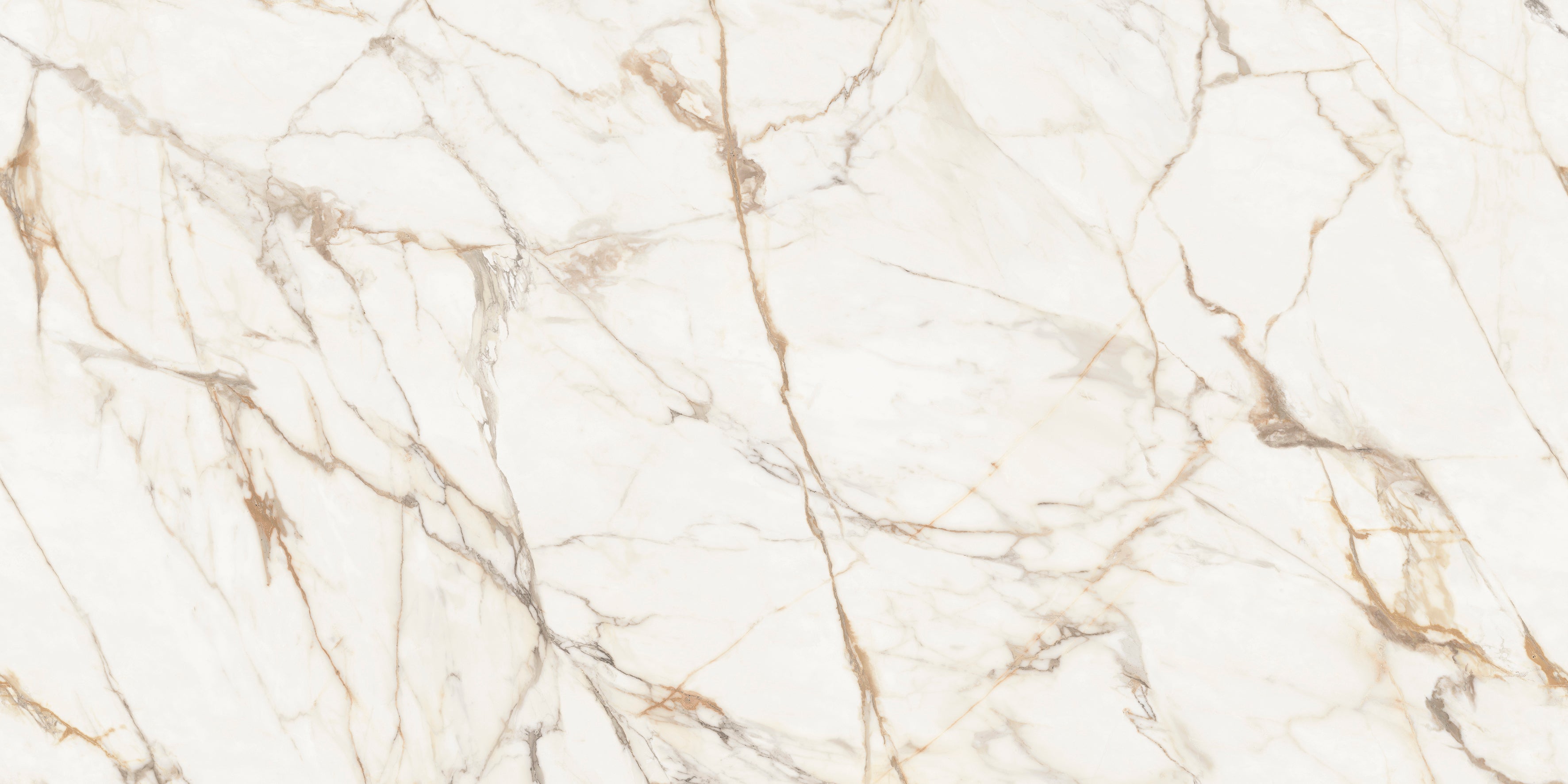 Xtone Calacatta Gold
