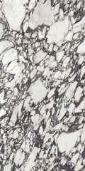 Xtone Calacatta Viola
