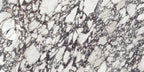 Xtone Calacatta Viola