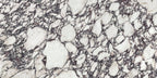 Xtone Calacatta Viola