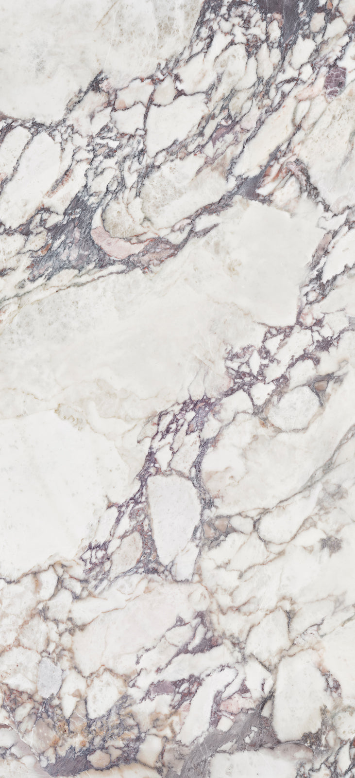 Alluslate Calacatta Viola