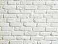 Fitwall Mattoni Bianco S.