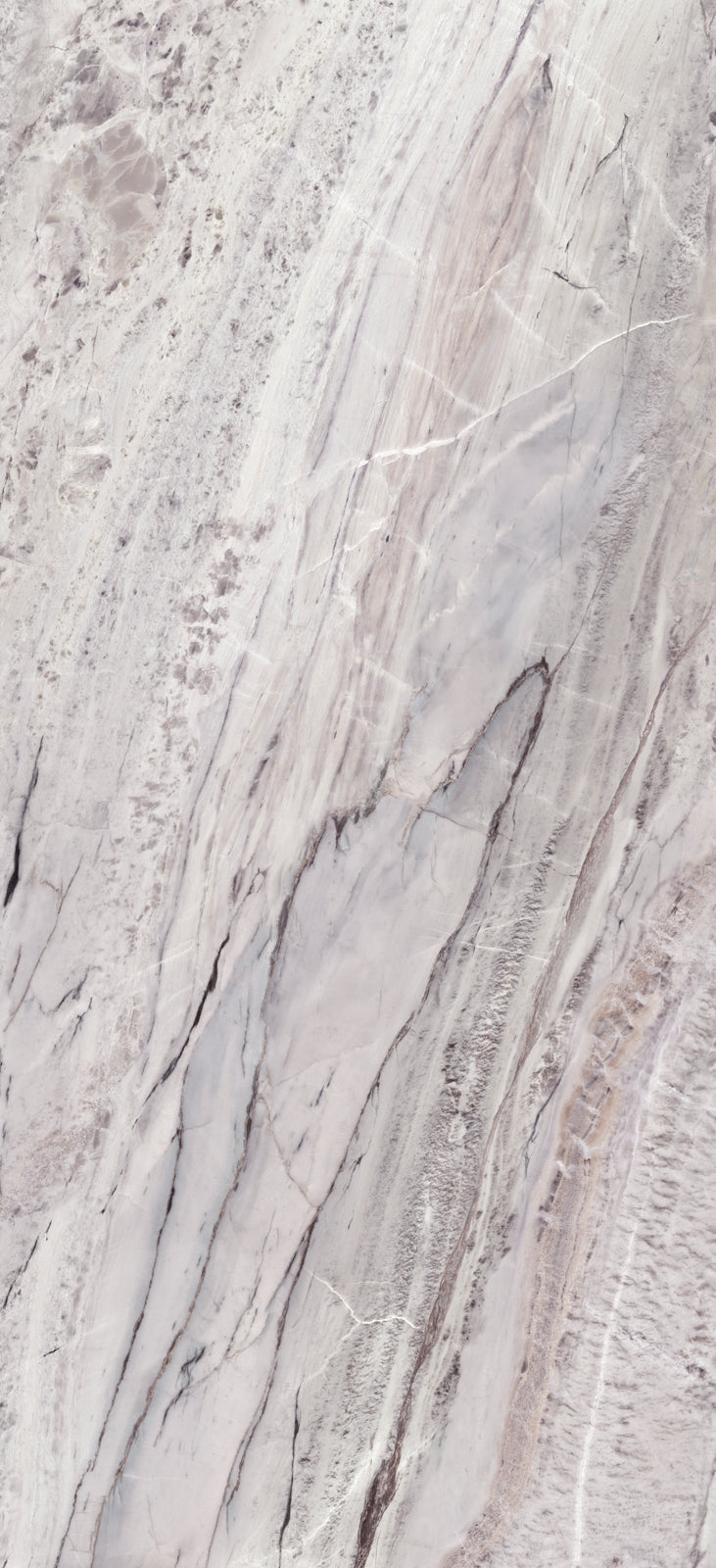 Alluslate Forest Grey