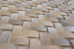 Fitwall Palm Caribbean