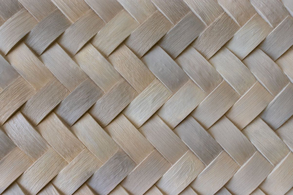 Fitwall Palm Caribbean