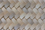 Fitwall Palm Caribbean