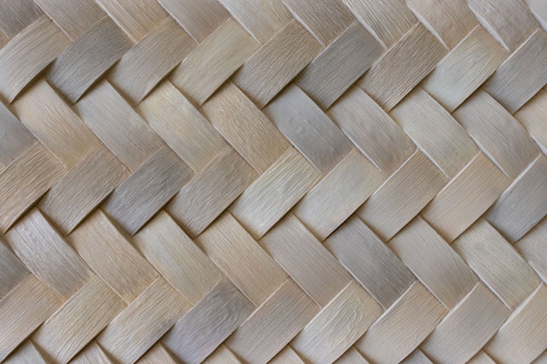 Fitwall Palm Caribbean