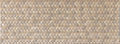 Fitwall Palm Caribbean