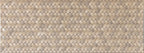 Fitwall Palm Caribbean