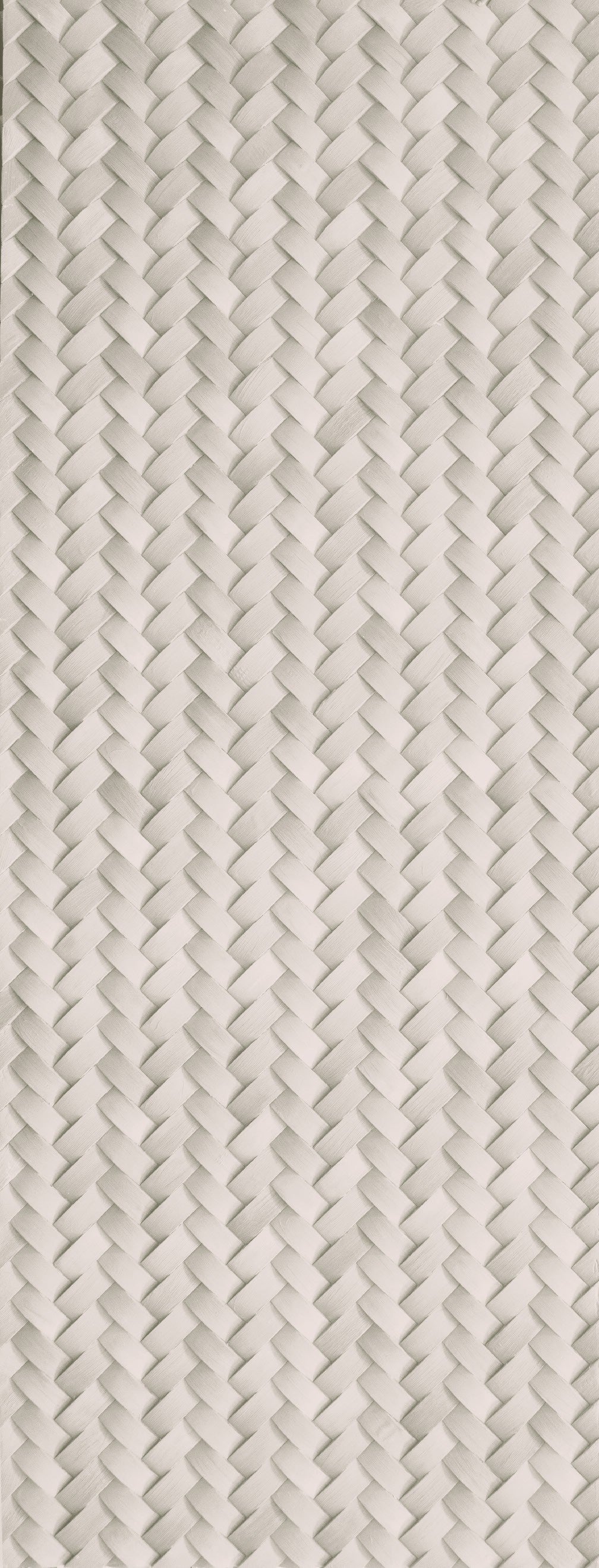 Fitwall Palm Raw White