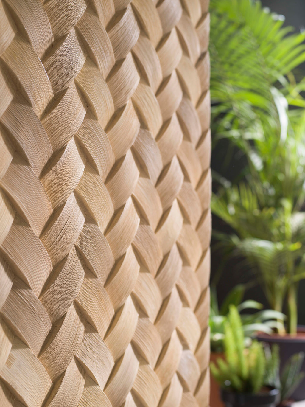 Fitwall Palm Caribbean