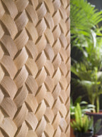 Fitwall Palm Caribbean