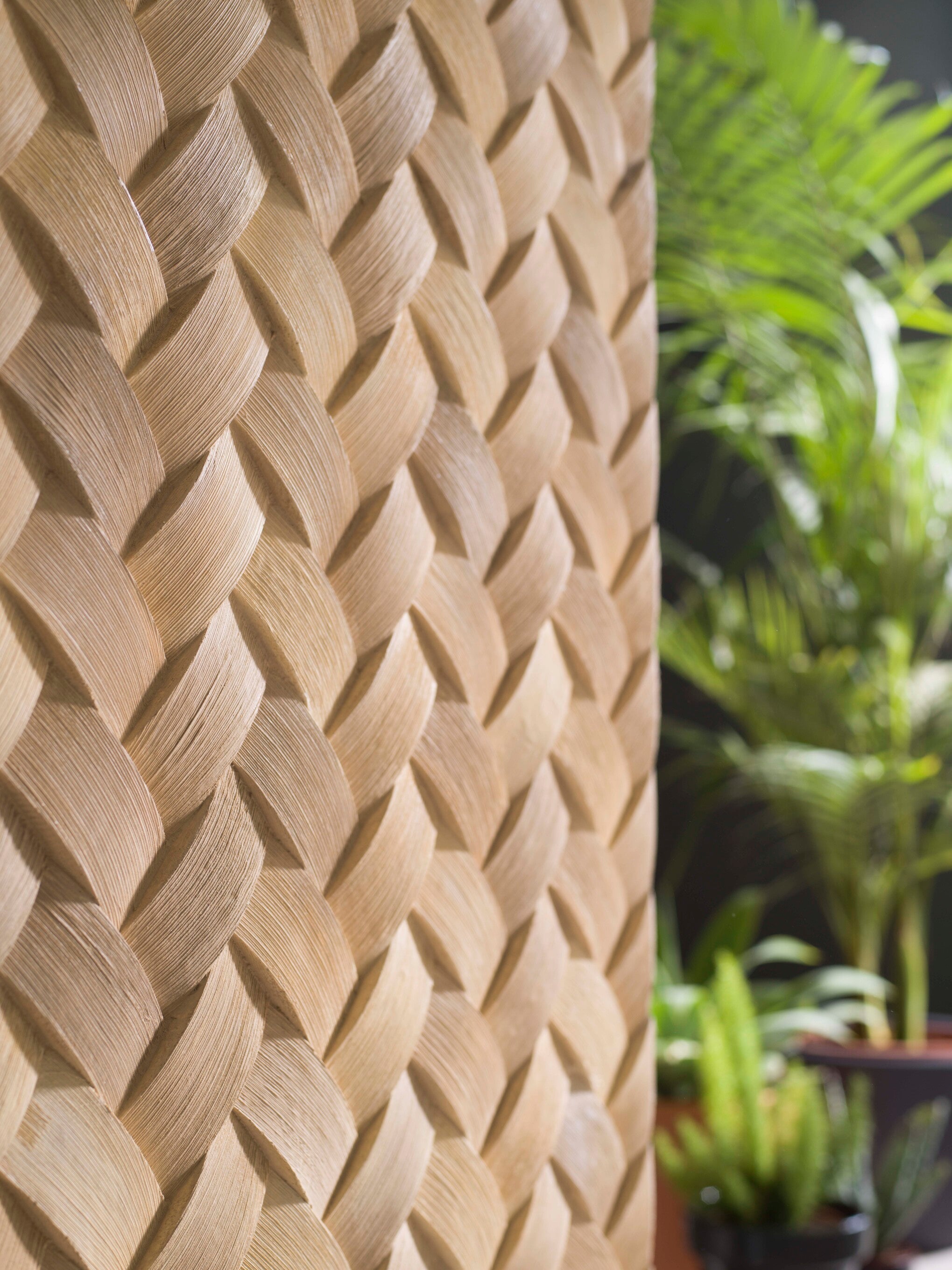 Fitwall Palm Caribbean