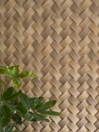 Fitwall Palm Caribbean