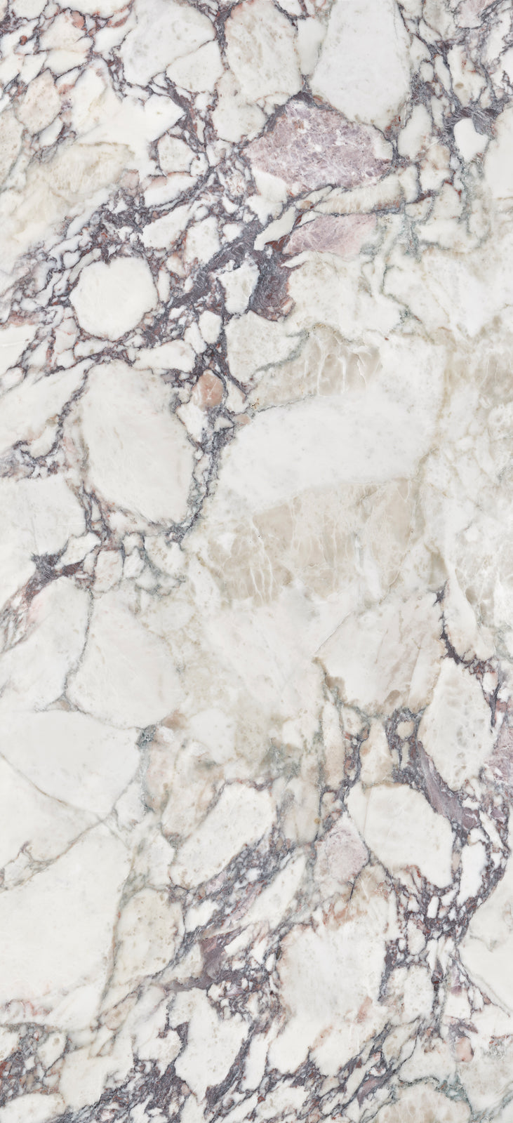 Alluslate Calacatta Viola