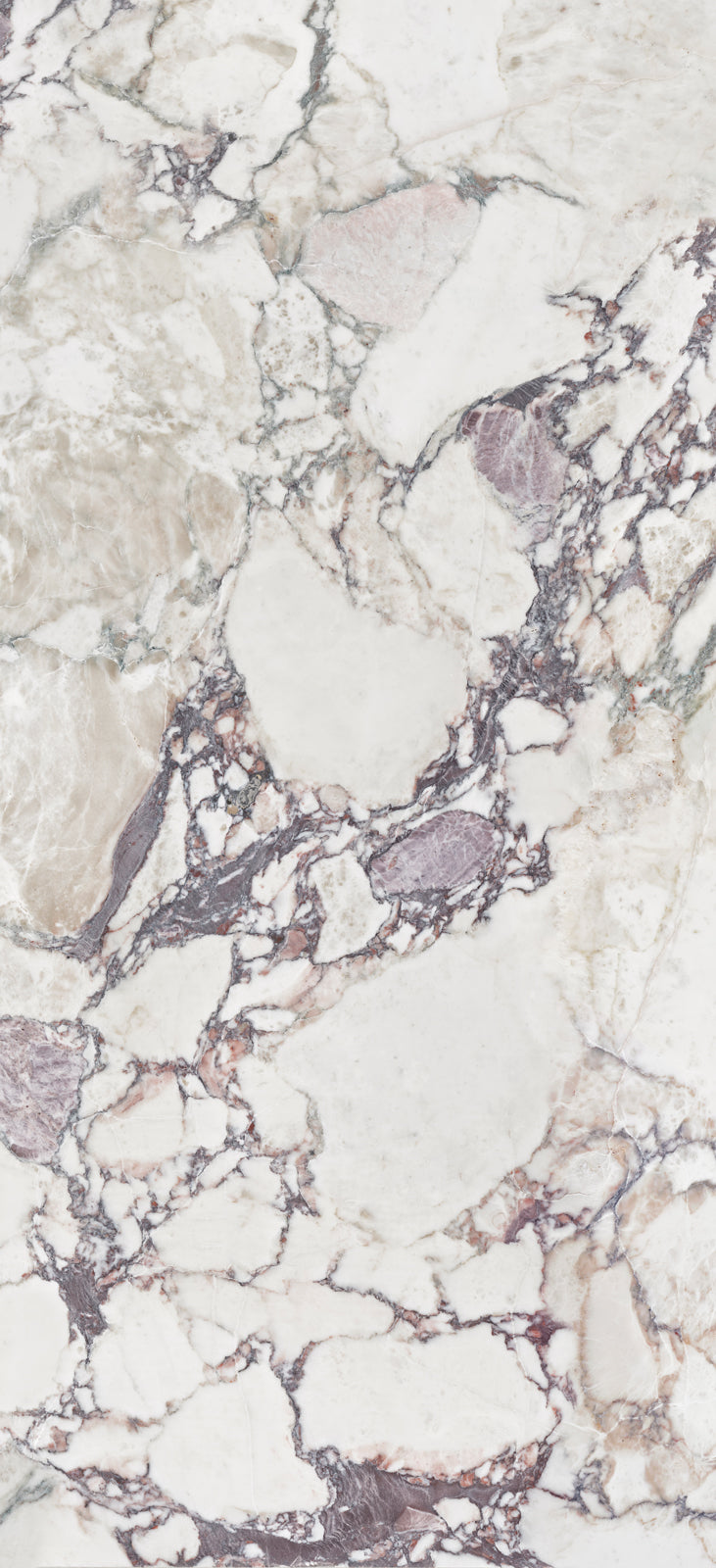 Alluslate Calacatta Viola
