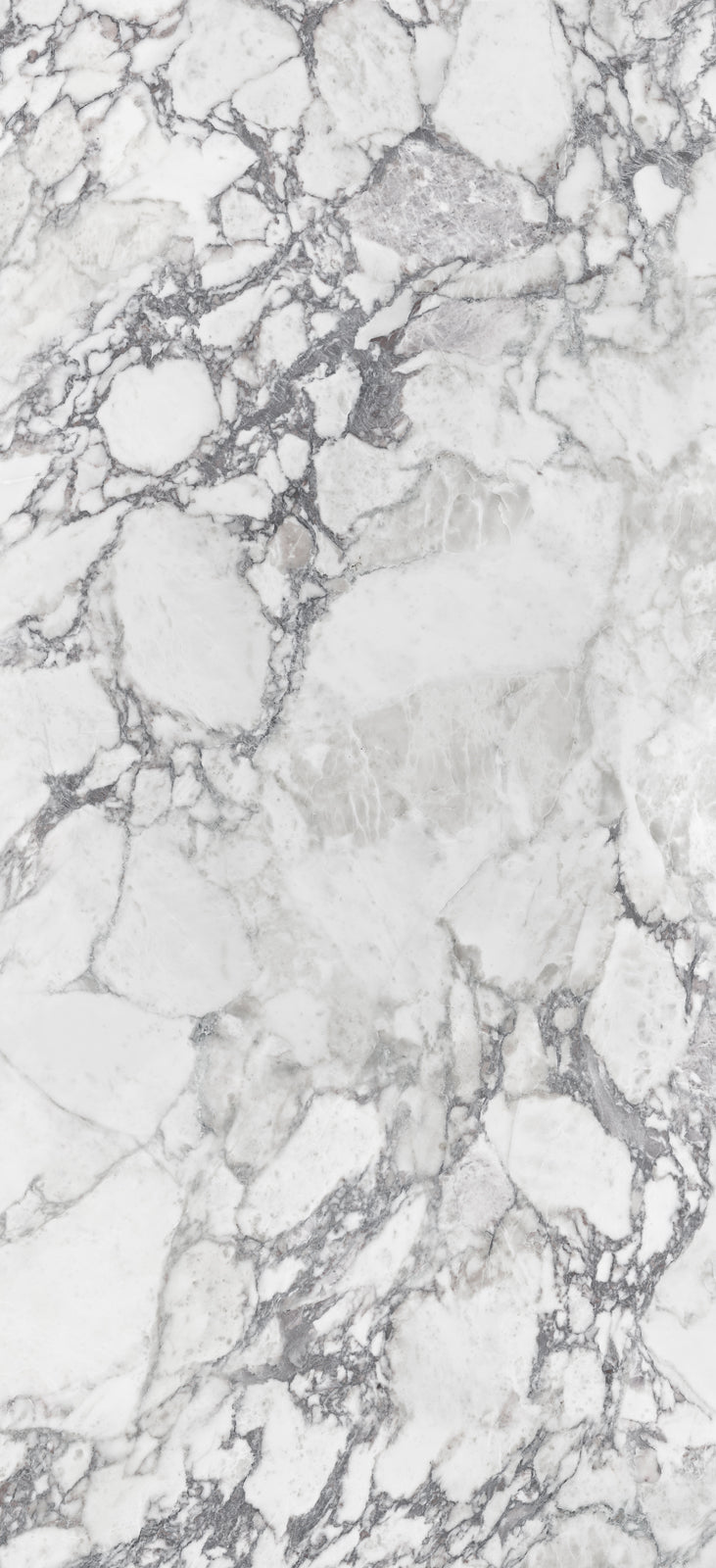 Alluslate Calacatta Grey