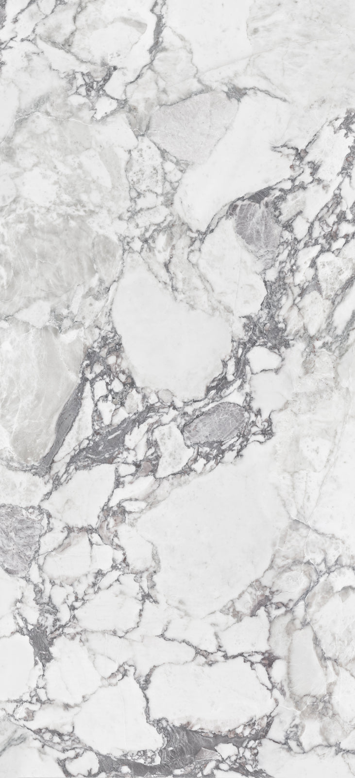 Alluslate Calacatta Grey