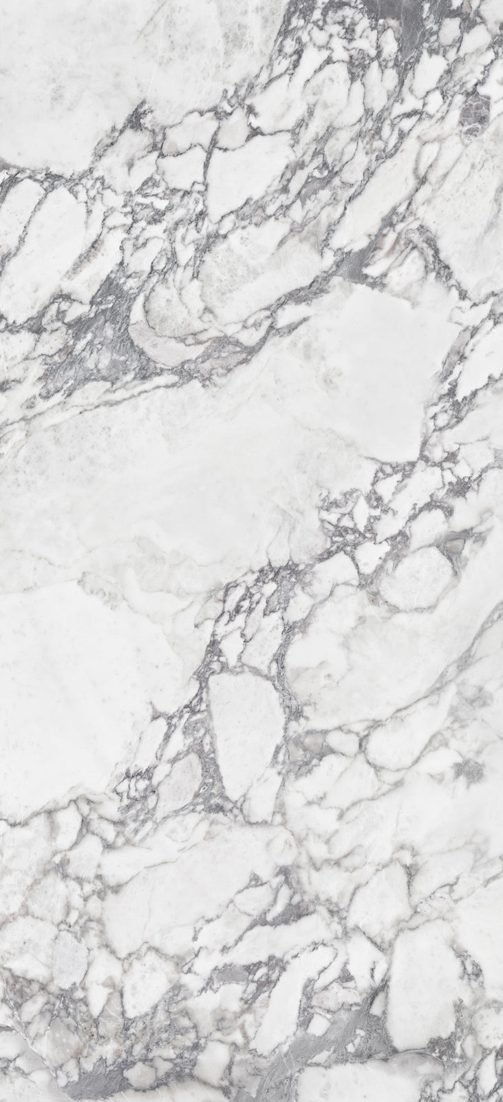 Alluslate Calacatta Grey