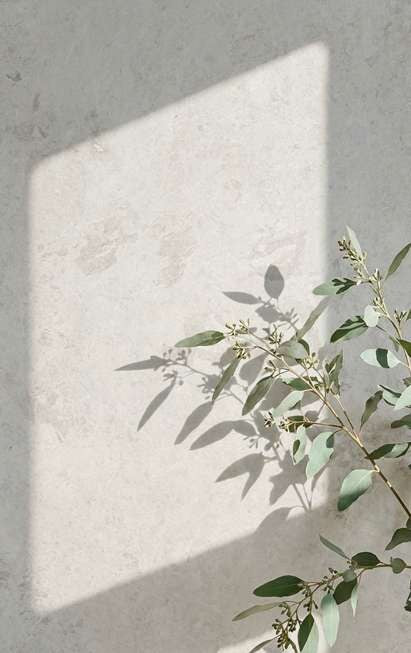 Undora Tundra Grey Apomazado – pintakuva